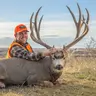 Best Hunting Cartridges for Mule Deer, with Colton Heward