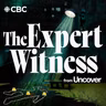 Aftermath Introduces | The Expert Witness