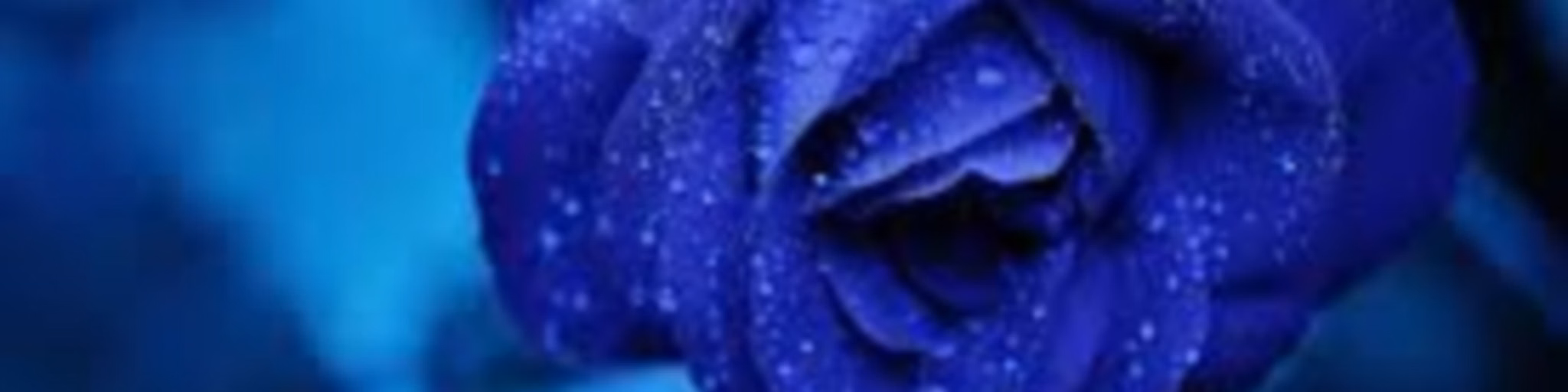 La Flor Azul