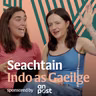Comedy Gaeilge at Dublin Fringe: ‘Tá seónna grinn níos fearr i nGaeilge’