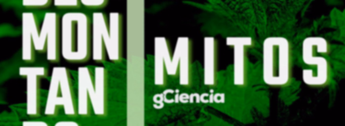 Desmontando Mitos
