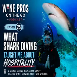 What Shark Diving Taught Me About Hospitality