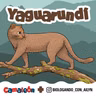 Yaguarundí: Rápido, raro y casi invisible