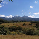 Radio Altos de la Cruz
