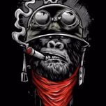 Comando vermelho