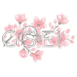 GSEI RADIO