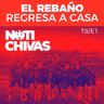 El Rebaño regresa a casa