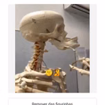 BRASIL RP