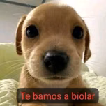 carolinanh