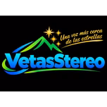 VetasStereo