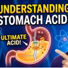Why You Need Stomach Acid (And How Some Meds Can Damage It)