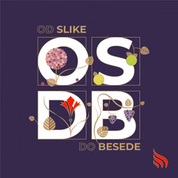 Od slike do besede