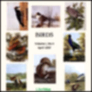 Birds, Vol. I, No 4, April 1897 by Various