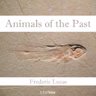 Chapter 12 Why Do Animals Become Extinct?