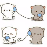 gatitos4.0