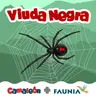 Viuda negra: La verdad detrás del miedo