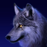 WolfS4v4g3