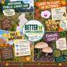 S2 Ep480: Better Lawns and Gardens - Hour 1 Refreshing Early Fall Weather September 26, 2026
