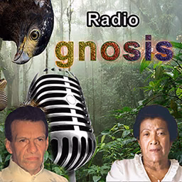 Radio Gnosis