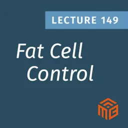 The Hidden Signals That Make Fat Cells Grow