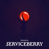 16: SERVICEBERRY