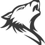 T WOLF RADIO