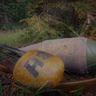 Five Elk Calling Tips No One Has Told You Before!
