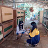 Farming Insights over Aksyon Radyo on September 25, 2021