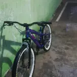 Danieltropa do 244