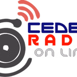 CEDEIN RADIO