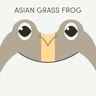 Asian Grass Frog | Week of June 8th