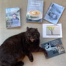 56. Tips and rewards for writing your memoir, with Deborah Shepard