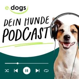 DNA-Tests: Der Schlüssel zur Hundegesundheit?