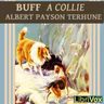 The Sunnybank Collies