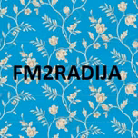 FM-2 SAULESRADIJAS