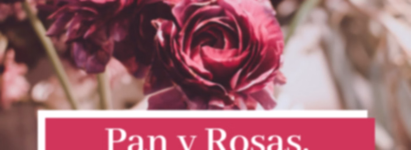 Pan y Rosas, Noticias de Paz