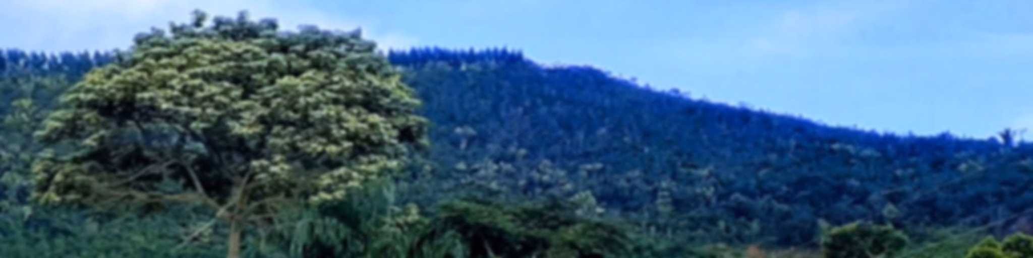 Valorizaravida