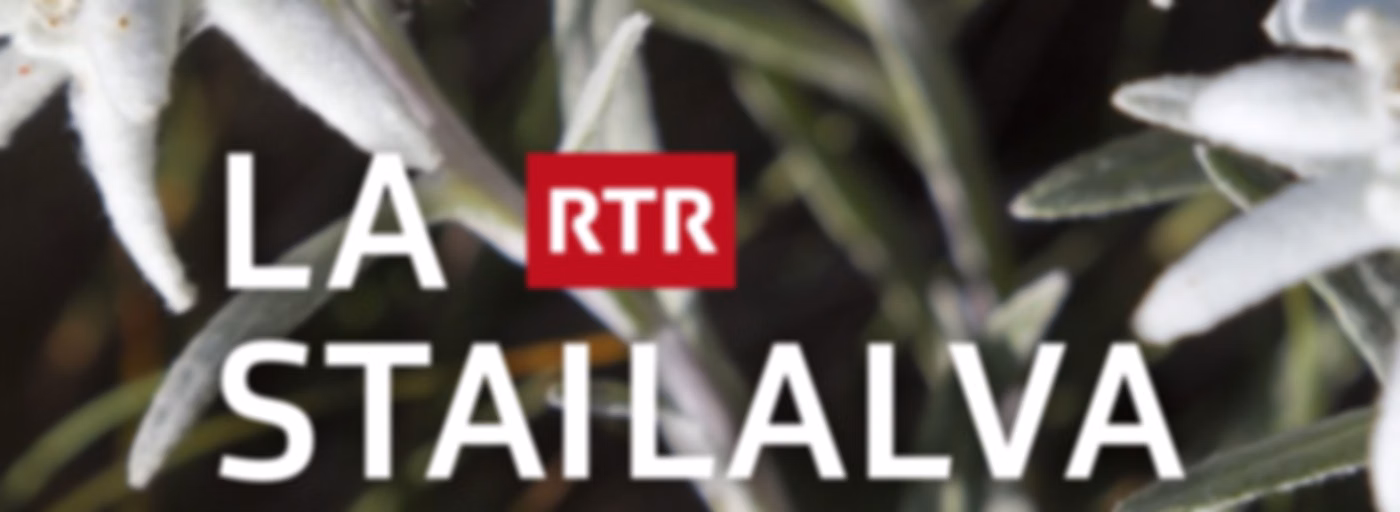 La stailalva