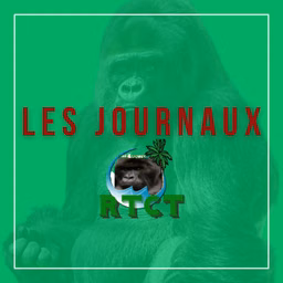 LE JOURNAL  DU
