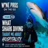 What Shark Diving Taught Me About Hospitality