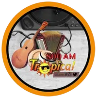 Tropical 800