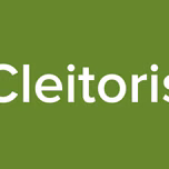 Cleitoris