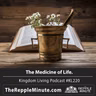 The Medicine of Life | Kingdom Living Podcast