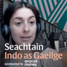 An Clár: An contae a chaill a chuid Gaeilge ach a choinnigh an ceol