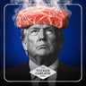 Trump Ushers in 300,000 Tons of Foreign Mystery Meat and Sends American Farmers Into Bankruptcy