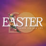 Make Ready - The Gospel at the Grave | Rev. Dr. John Wayne McMann (Audio)