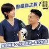 EP41 點樣為之夠？