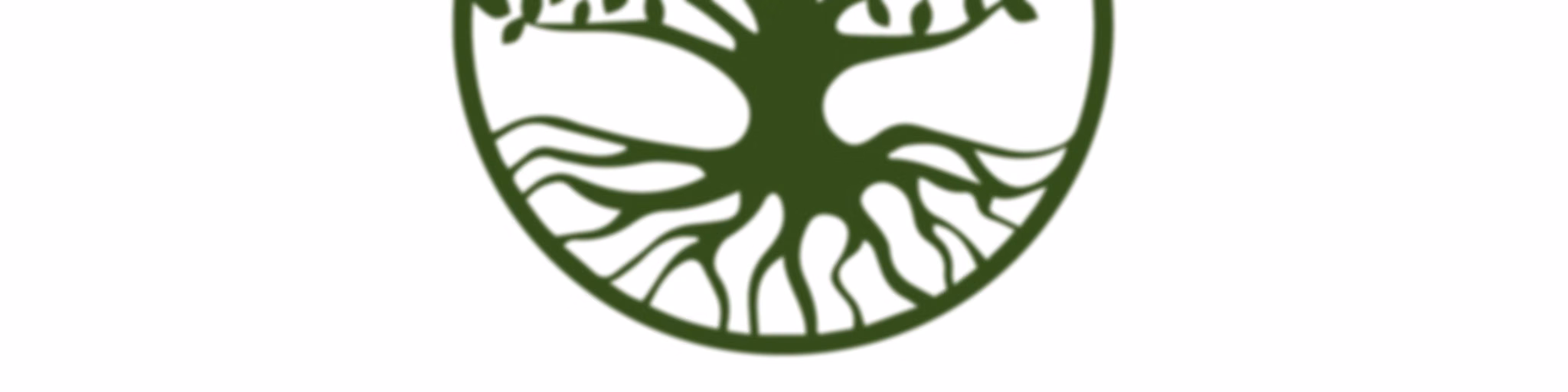 Deep Roots Wellness