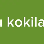 telugu kokila radio