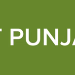 HIT PUNJABI